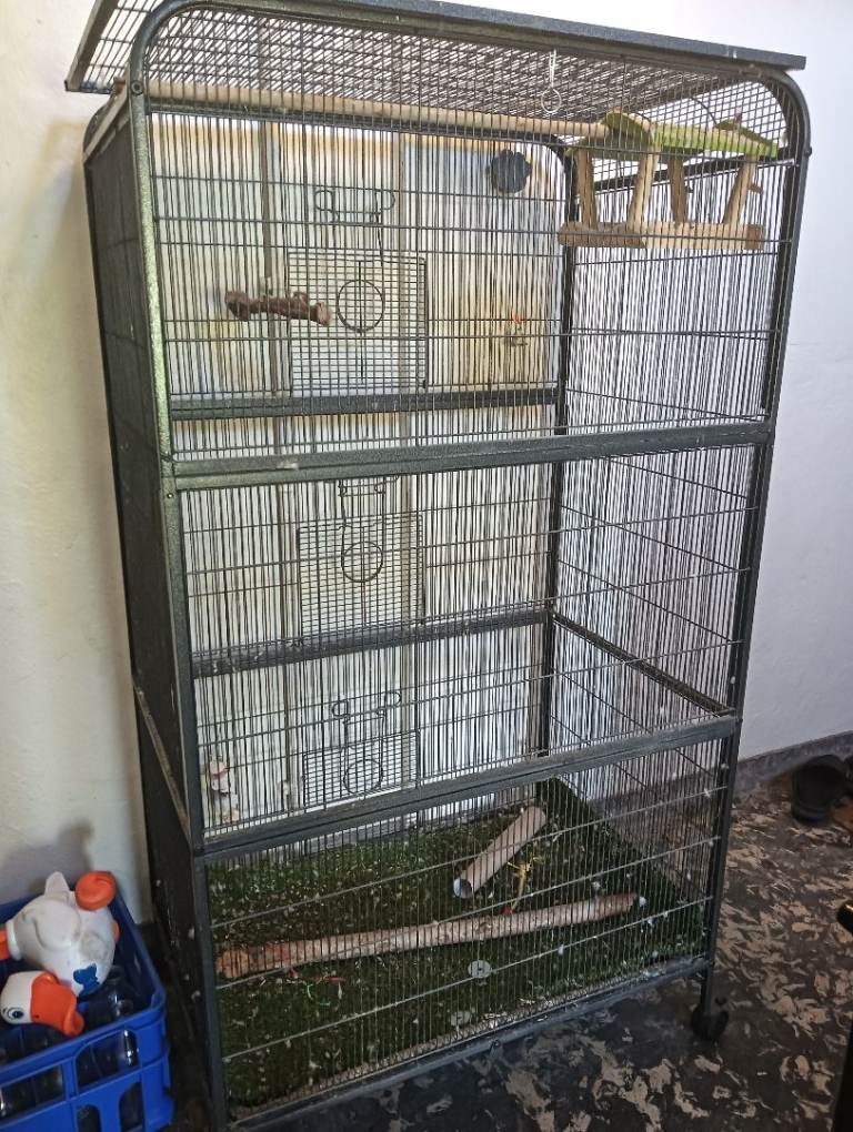 large cage NEED GONE