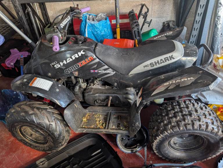 100cc quad bike quadzilla pro shark