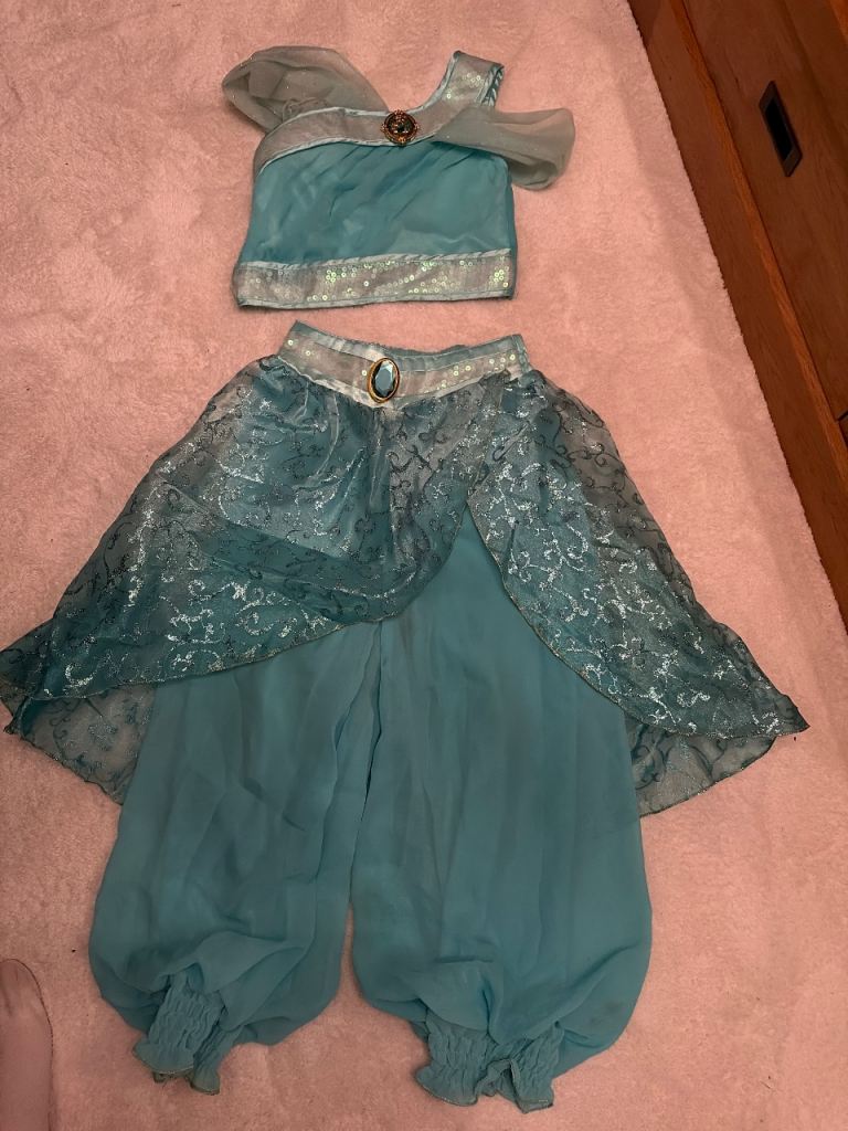 Princess Jasmine fancy dress costume 