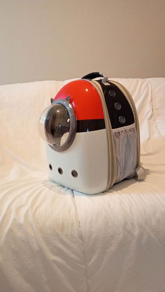 Cat or Small Dog Backpack 