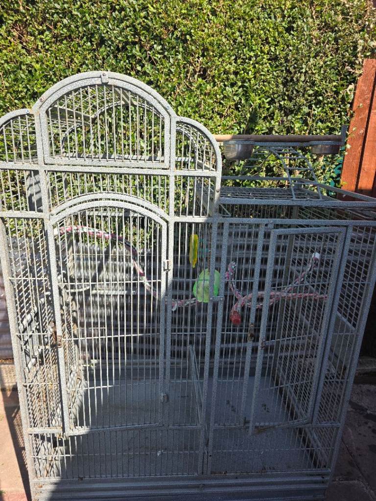 Bird cage for sale