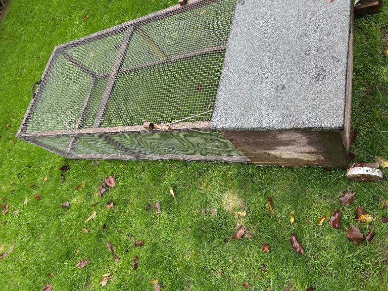 Guinea pig hutch & run