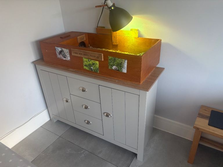 Tortoise Table with Sideboard