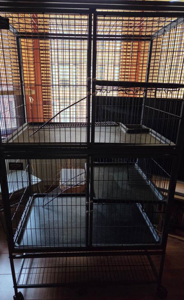 Small animal cage