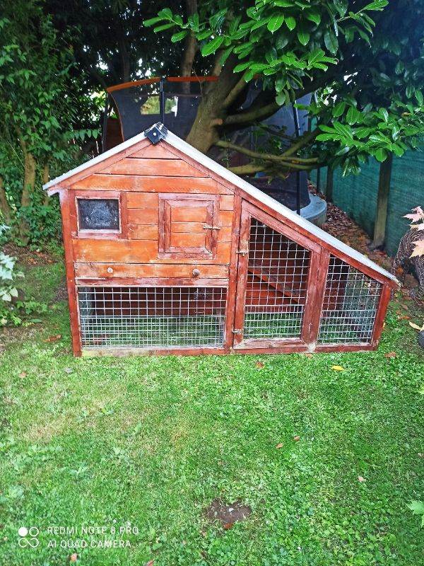 cage house for rabbits