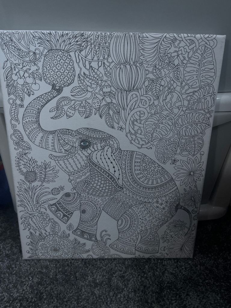 Colour in elephant canvas