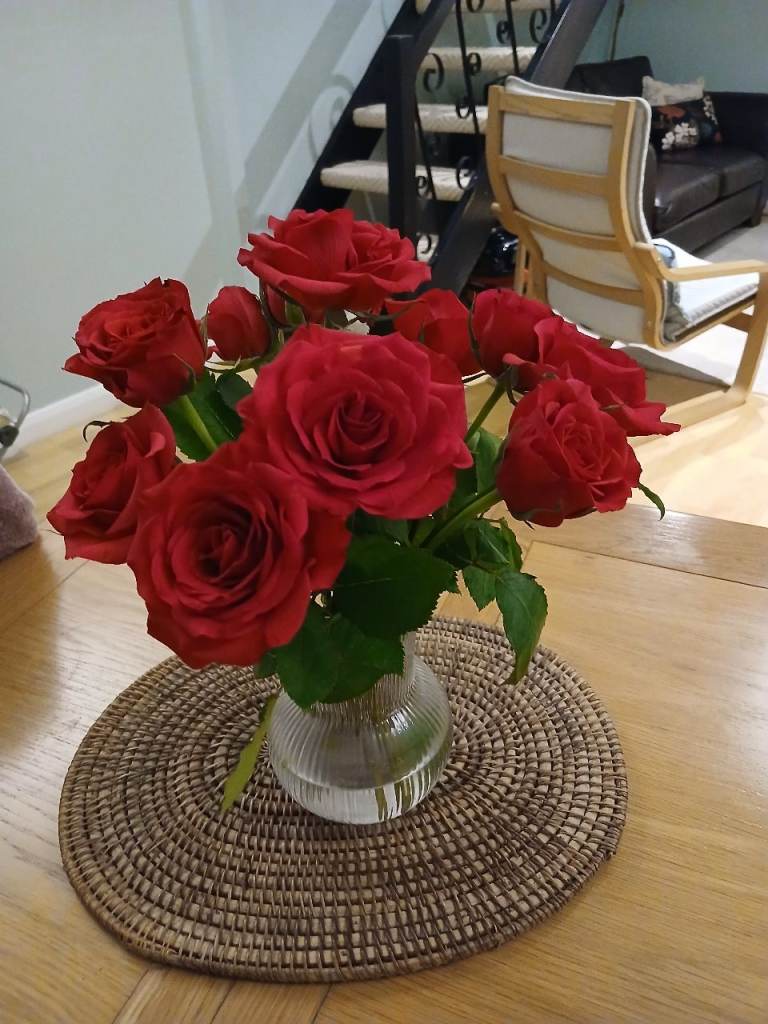 Seeking flat to rent