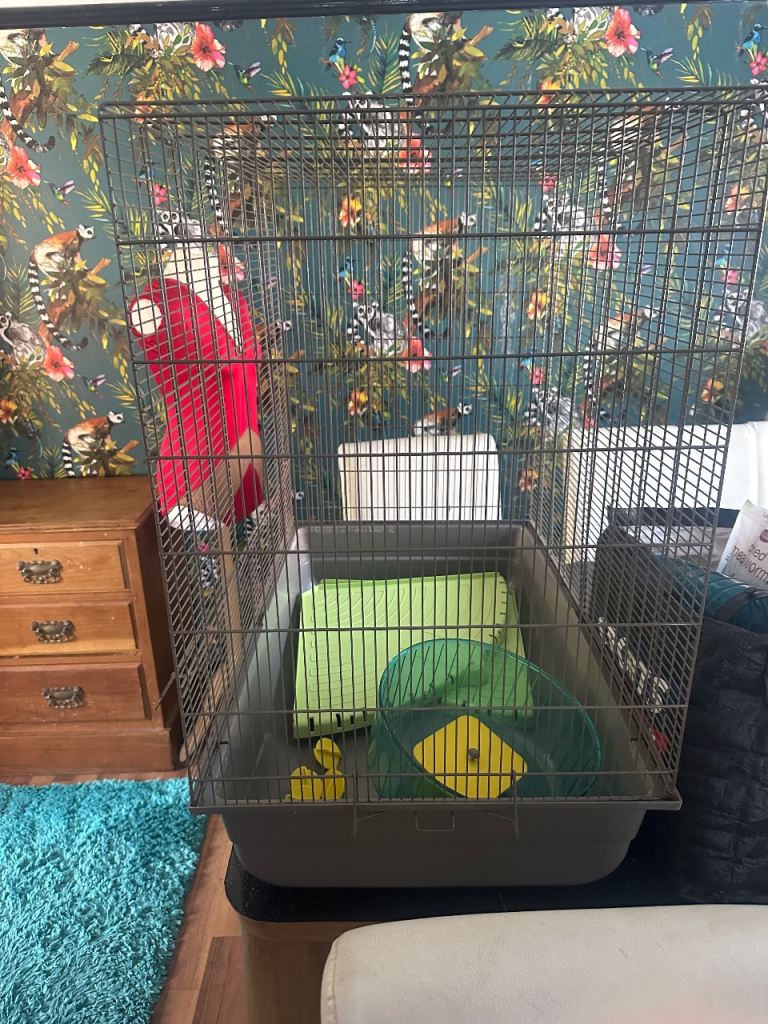 Rat cage/small animal