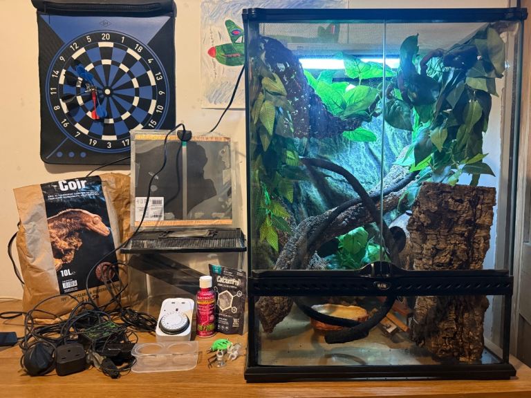 Exo Terra PRO Terrarium Small/Tall 45x45x60 plus crested gecko bundle 