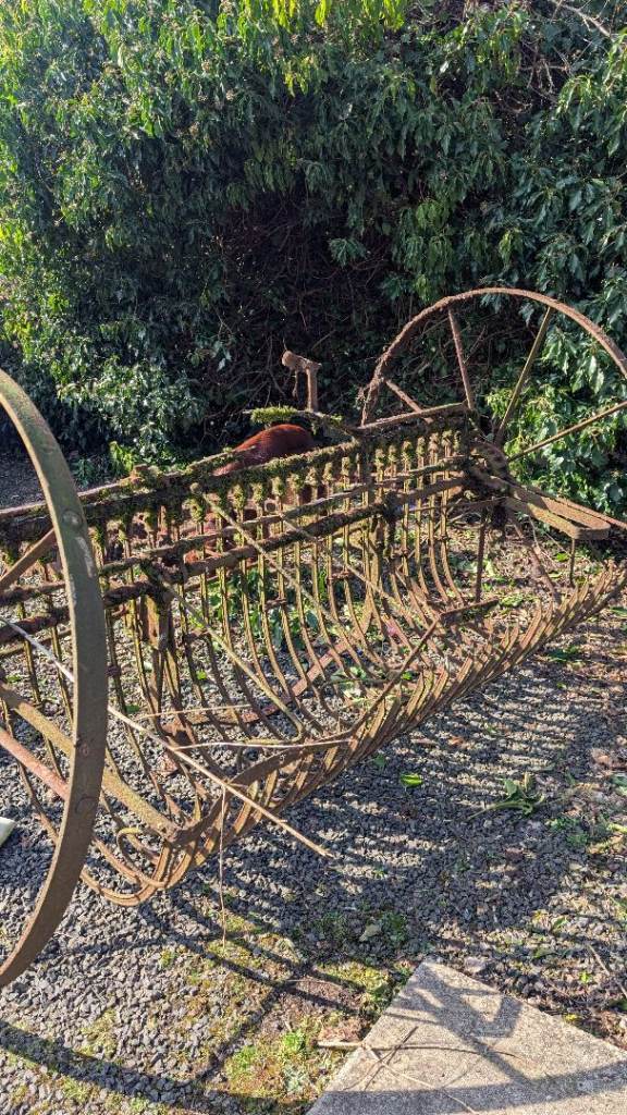Antique horse drawn hay rake 
