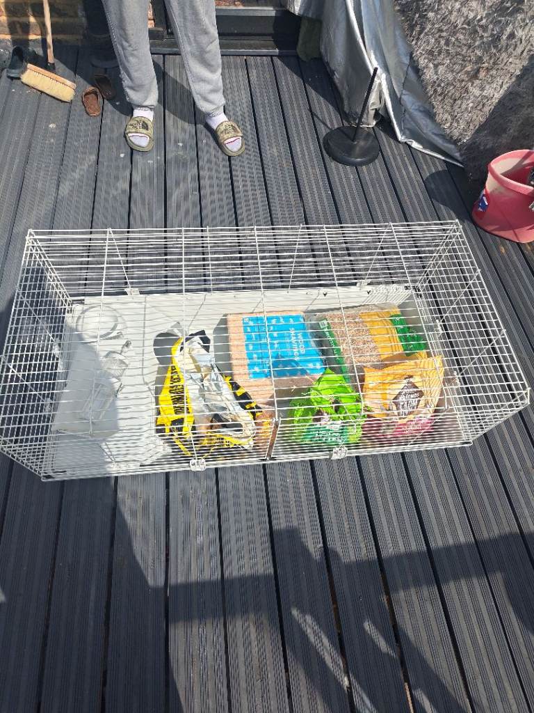 Rabbit cage 
