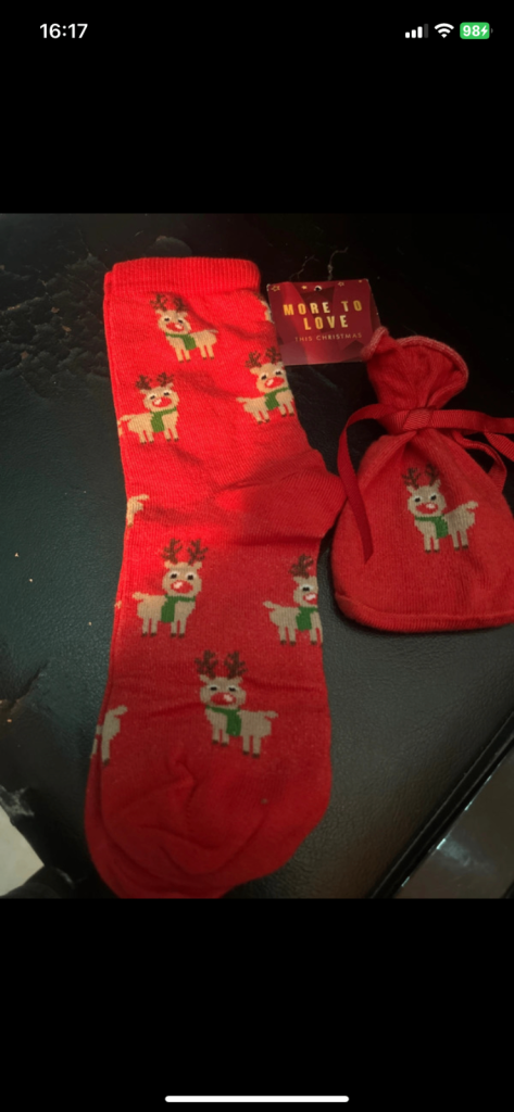 BRAND NEW PAIR OF CHILDREN CHRISTMAS PRINT SOCKS
