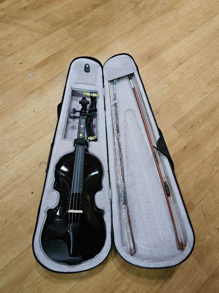 Violin With Carry Case