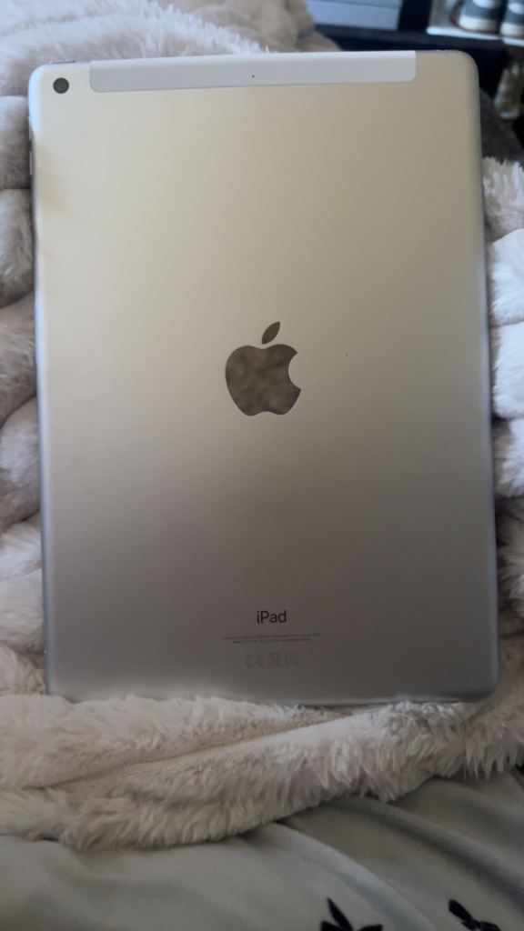 ipad. 