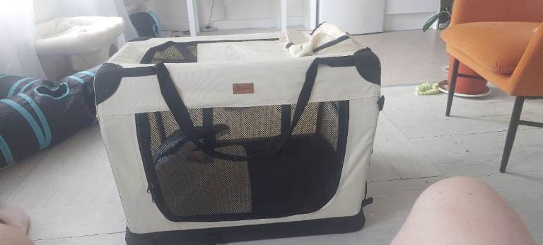 Cat or dog carrier 