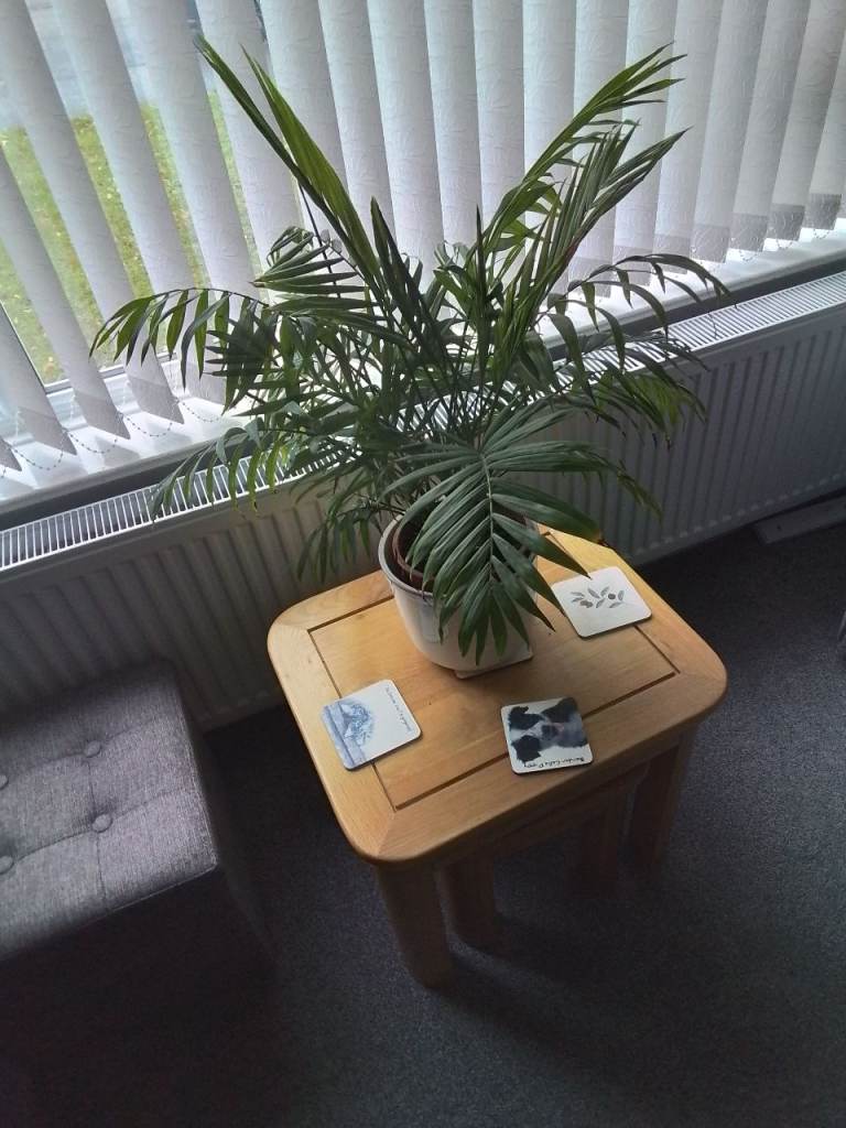 image for Palm plant