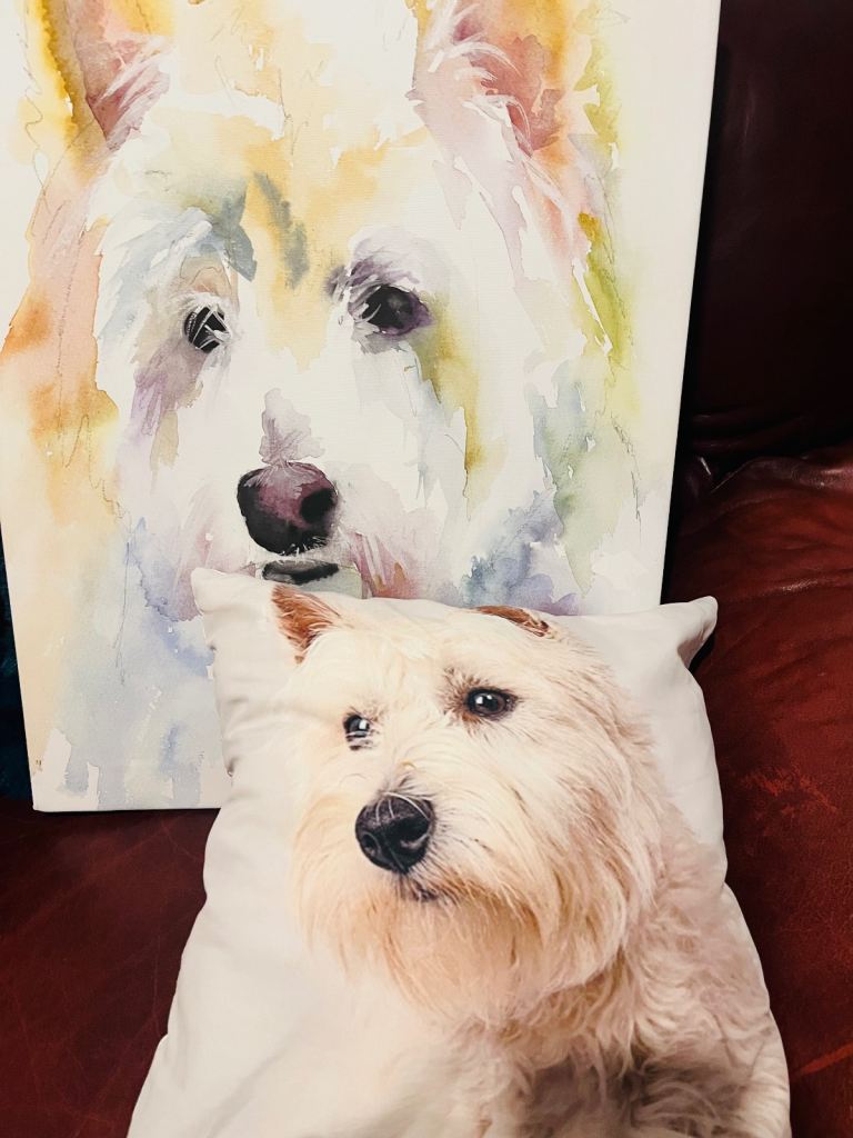 ‘WESTY’ Dog picture on canvas AND FREE SMALL CUSHION. 