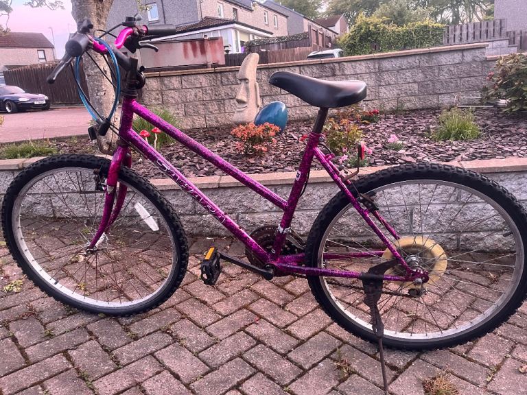 Ladies Bike