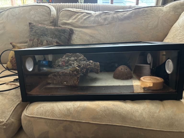 Snake Vivarium and extra 