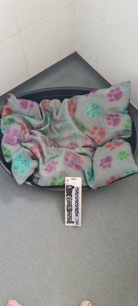 DOG BED /CUSHION / NEW COLLAR AND LEAD SET £15 FOR ALL