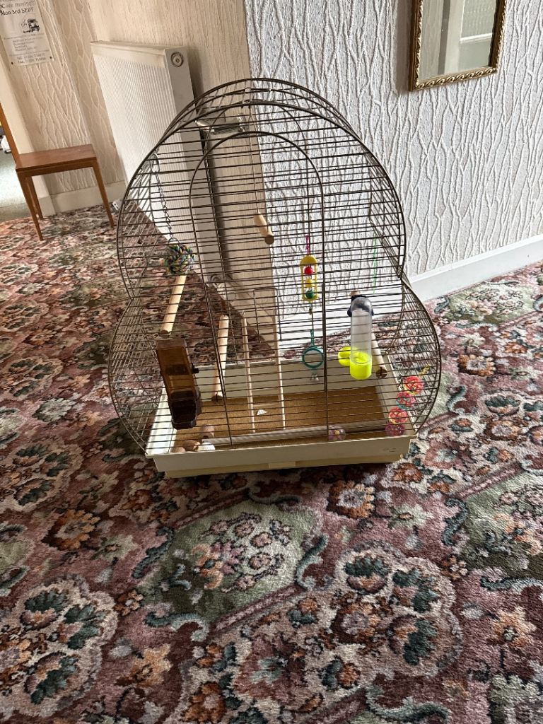 Large bird cage