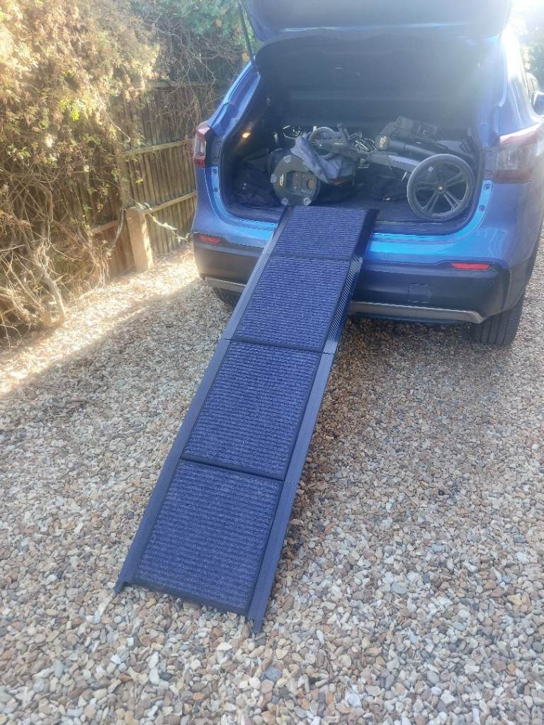 Dog ramp for cars