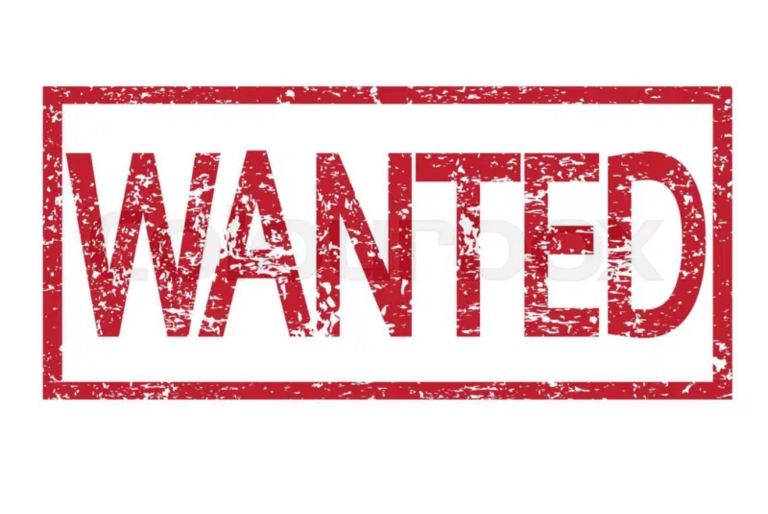 Wanted. Motorcycle project