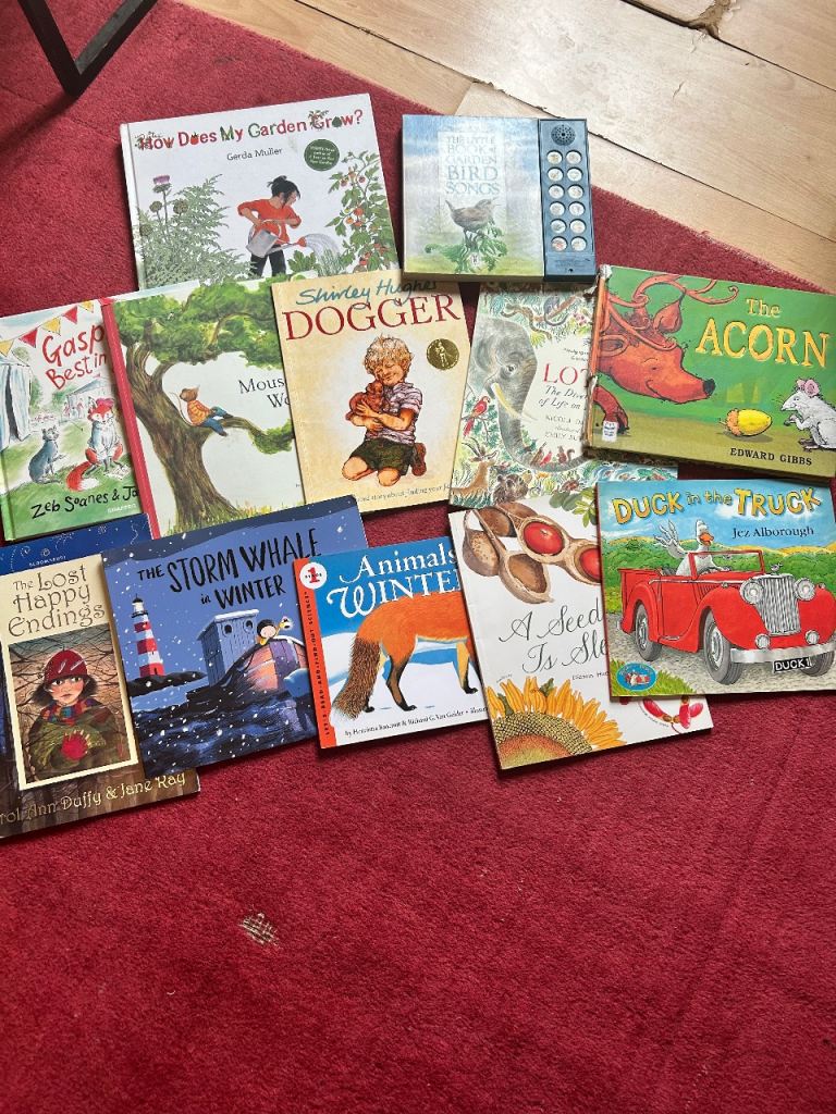 Selection of preloved books for young children