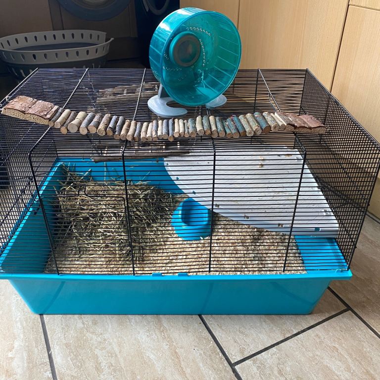 Hamster cage, accessories and food
