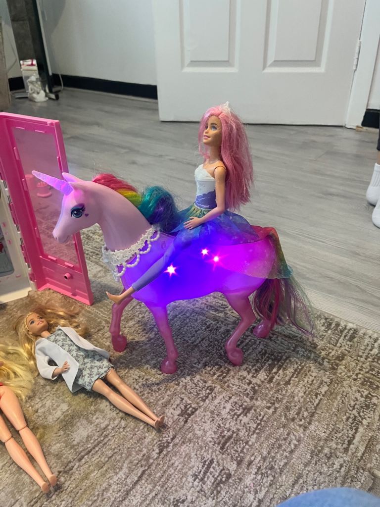 Barbie dolls and accessories. 