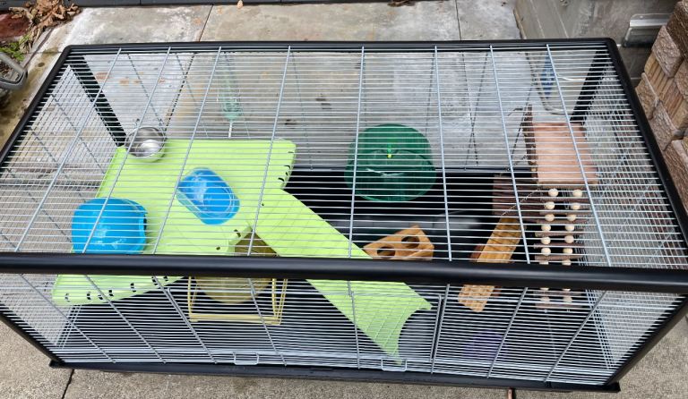 Large hamster cage