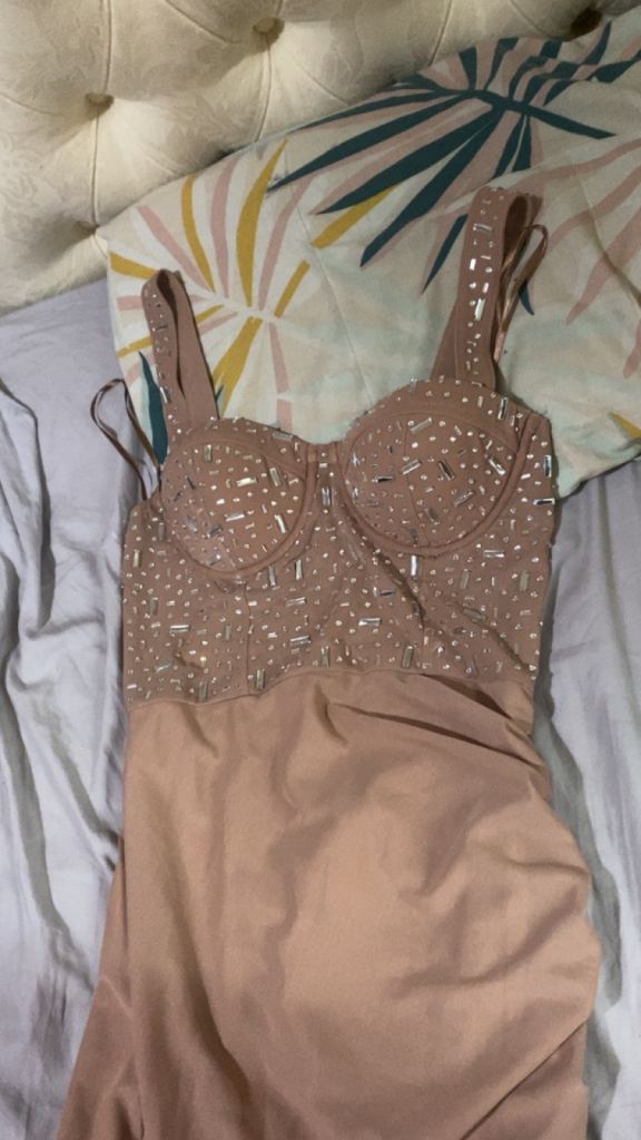 Stunning Nude Pink Embellished Mini Dress – As Good As New
