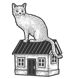 Free - cat-sitting, house-sitter through 2026