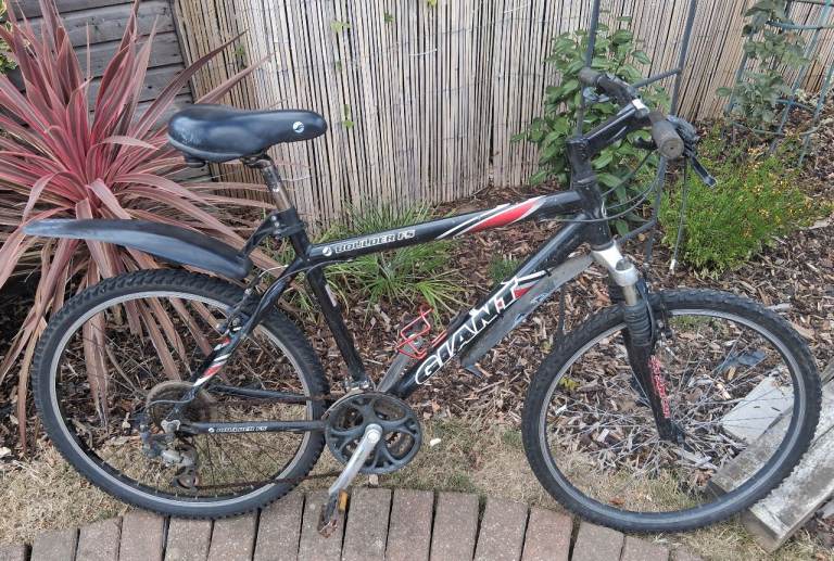 Giant Mountain Bike 'project'