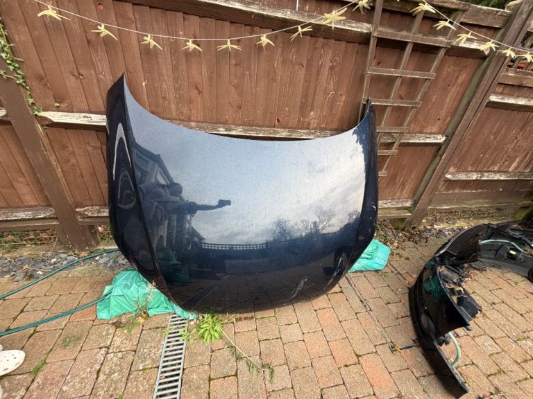 Audi TT MK2, 8J 2007, bonnet, blue, LZ5A