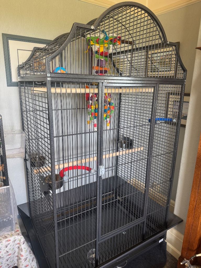Extra Large parrot cage with toys and accessories 