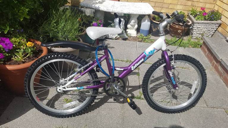 GIRLS RALEIGH 20" WHEEL BIKE IN GREAT WORKING CONDITION AGE 7+