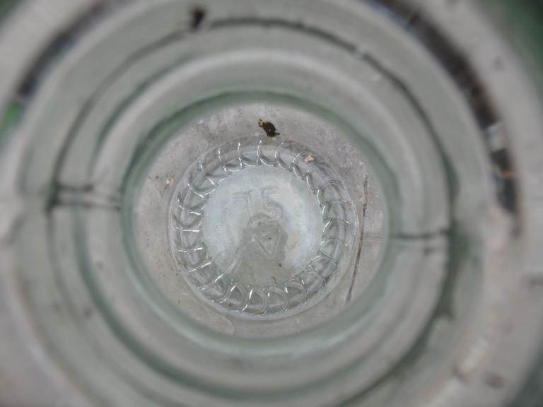 Indoor carboy/terrarium 