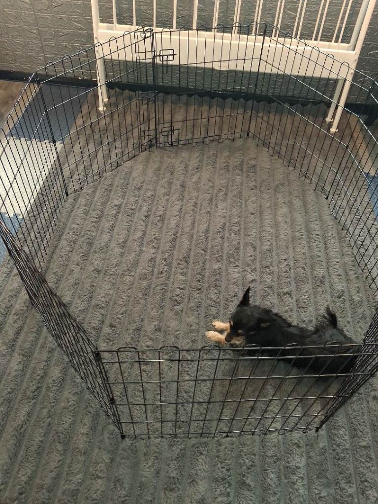 Large puppy playpen