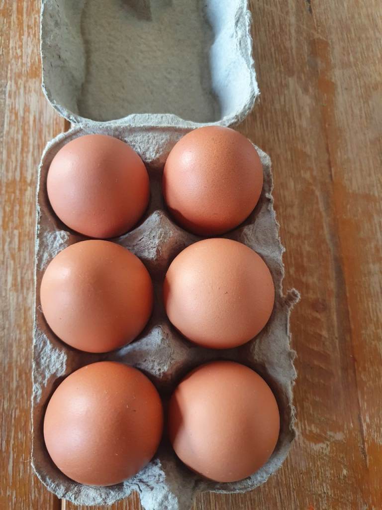Fresh Brown Eggs, one Dozen