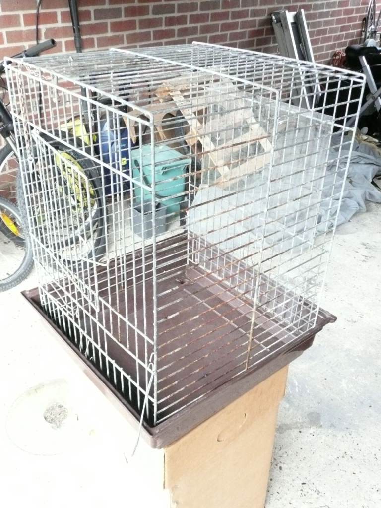 Bird case and accessories