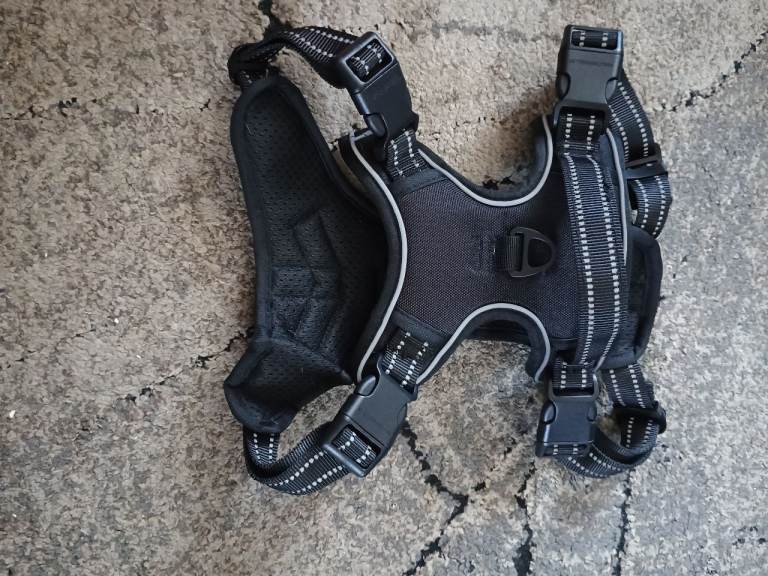 Black Dog Harness - Size Large