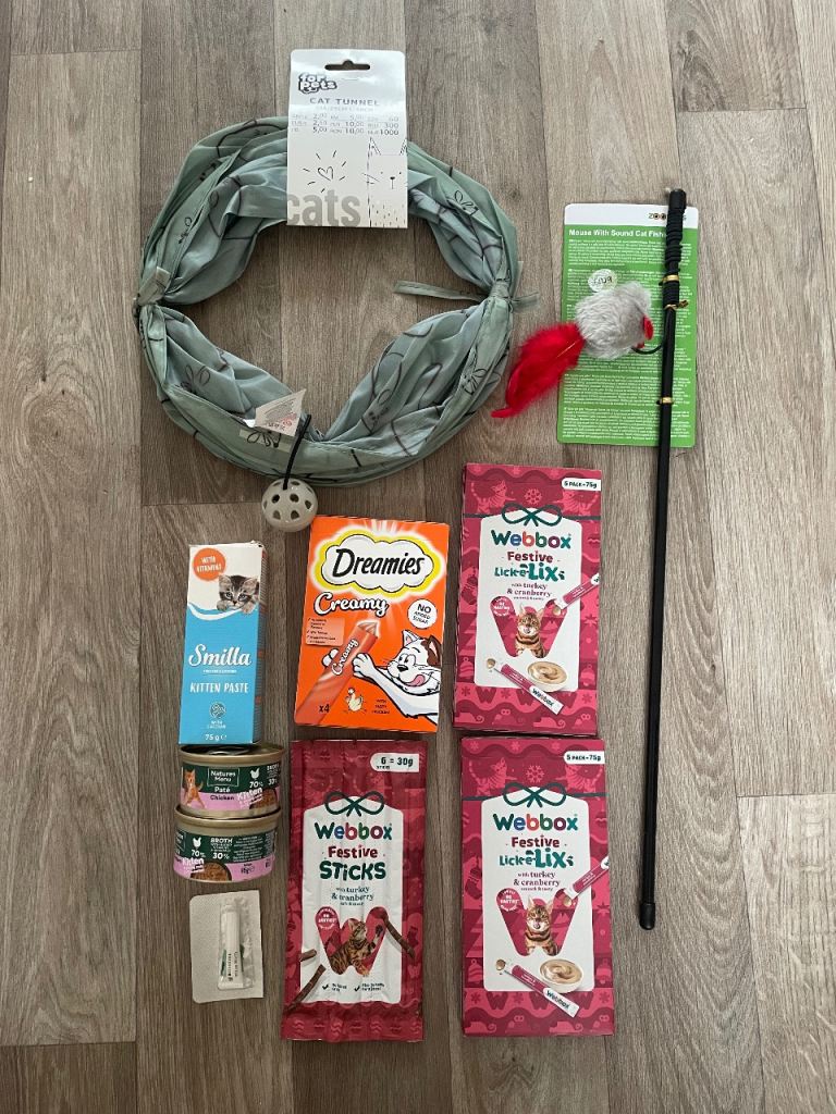 Cat kitten bundle toys and treats 