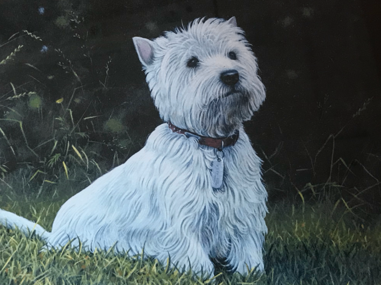Limited edition 69/485 by artist W Geoff Rollinson depiction of white West Highland Terrier. 