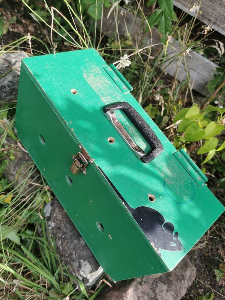 Various wooden boxes for mice 
