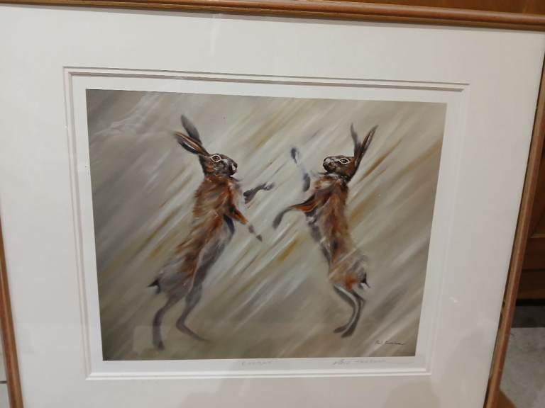 Pictures for sale