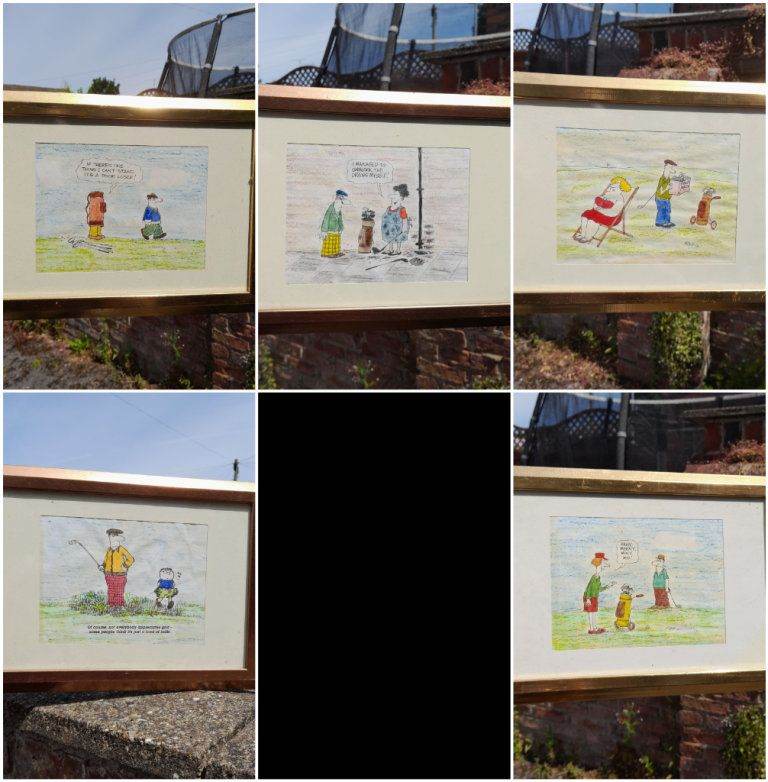 Funny Golf Pictures
