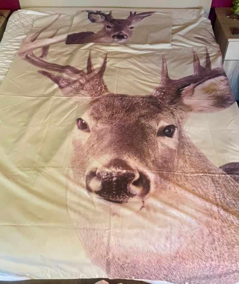 Single Reindeer Duvet Set Christmas