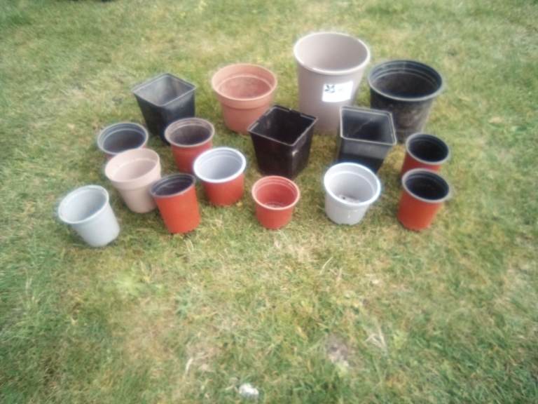 Bundle of assorted size plastic plant pots - £2