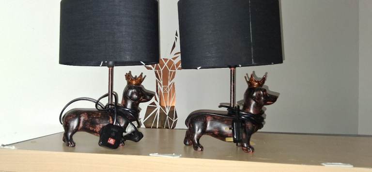 Lightshi i have these 